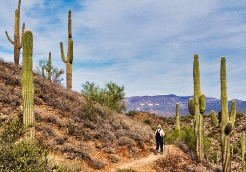 Exploring the Great Outdoors: Top Outdoor Activities in Maricopa County, Arizona